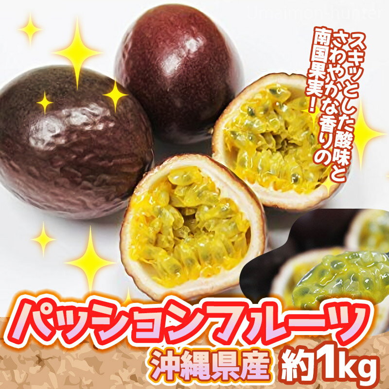 サンチャイルド農園 【ギフト】沖縄県産 パッションフルーツ 約1kg 9～13玉×2箱 2