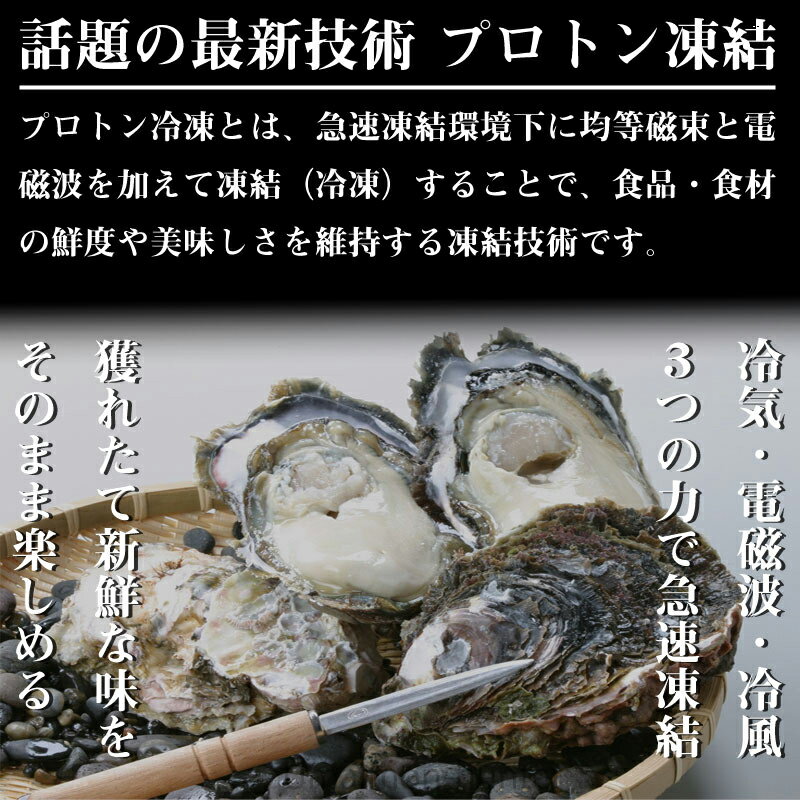 日本海隠岐活魚倶楽部 隠岐のいわがき プロトン凍結 2Lサイズ 10枚入り 旬の時期にプロトン凍結 島根県 魚介類 人気 贅沢 タウリン カルシウム ビタミンB12