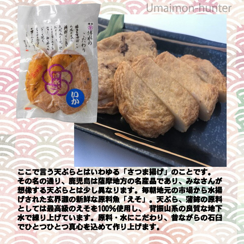 博水 博多玄海 いか 約60g×2枚入り×5袋 福岡 博多 人気 土産 惣菜 福岡県産えそ使用 博多てんぷら さつま揚げ