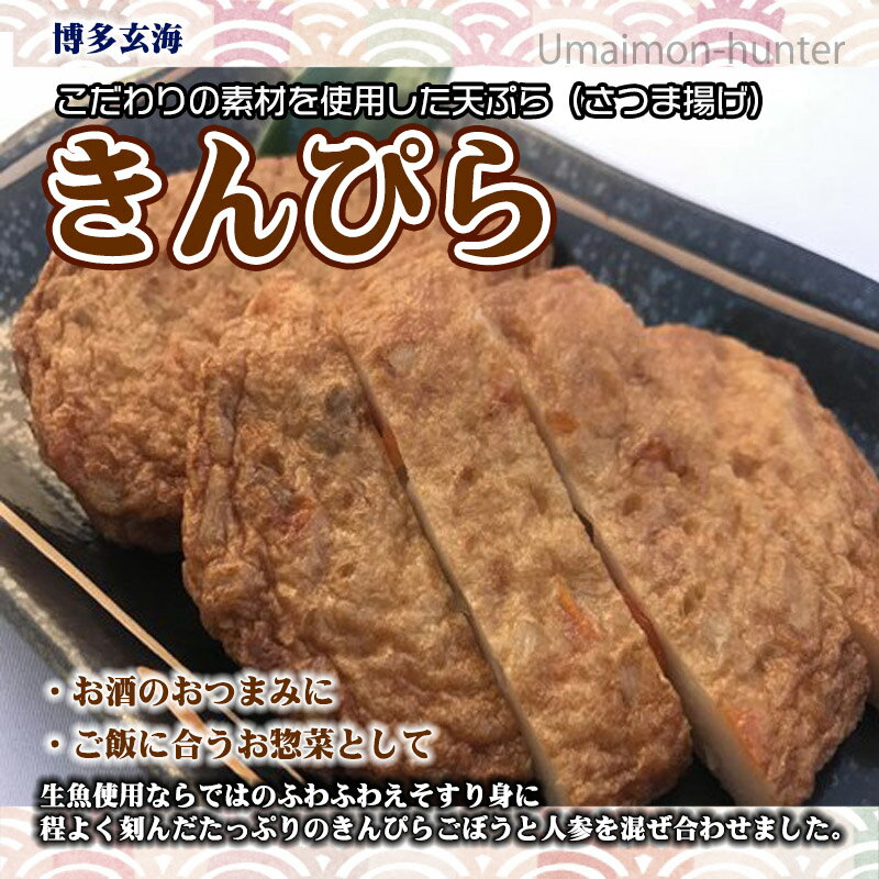 博水 博多玄海 きんぴら 約60g×2枚入り×5袋 福岡 博多 人気 土産 惣菜 福岡県産えそ使用 博多てんぷら さつま揚げ