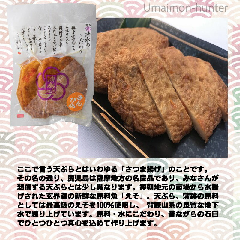博水 博多玄海 きんぴら 約60g×2枚入り×5袋 福岡 博多 人気 土産 惣菜 福岡県産えそ使用 博多てんぷら さつま揚げ