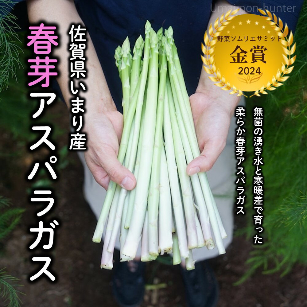うめむら農園 佐賀県いまり産 春芽アスパラガス 700g