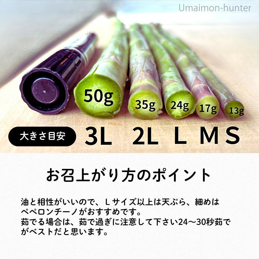 USTCM NEW PACK Nutmeg Rou Dou Kou 4 oz
