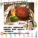 ニコマート 淡路牛と淡路玉葱を使った 無添加手作りハンバーグ 120g×10個セット 兵庫県 お取り寄せ 冷凍惣菜 3