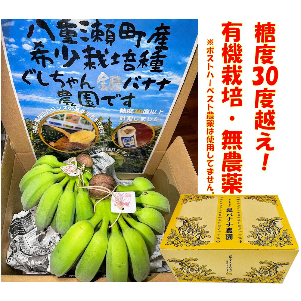 もっちり ぐしちゃん銀バナナ 約3kg 実20本前後 沖縄県八重瀬町産 有機栽培 無農薬