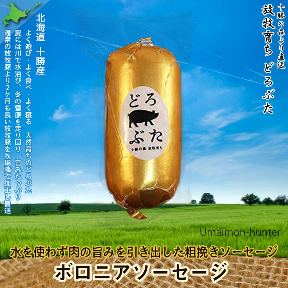エルパソ どろぶた ボロニアソーセージ 1本入 200g×5P 北海道 土産 人気 お取り寄せ食材 オリジナルの放牧豚の粗挽きソーセージ