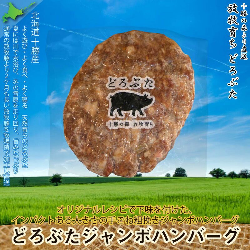 ギフト 箱入り エルパソ どろぶたジャンボハンバーグ 300g×4P 北海道 土産 人気 お取り寄せ オリジナルの放牧豚使用 惣菜 ハンバーガー BBQにおすすめ