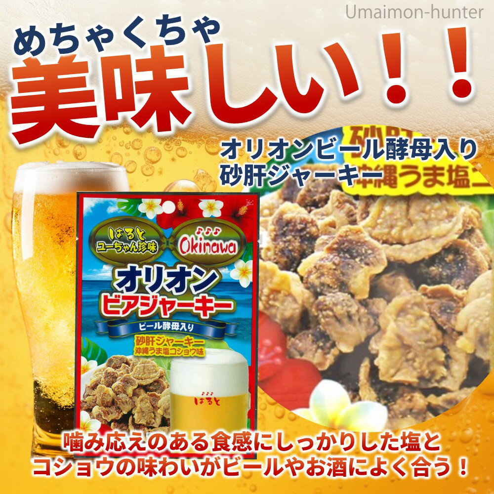 はると オリオンビアジャーキー 45g×6袋 沖縄