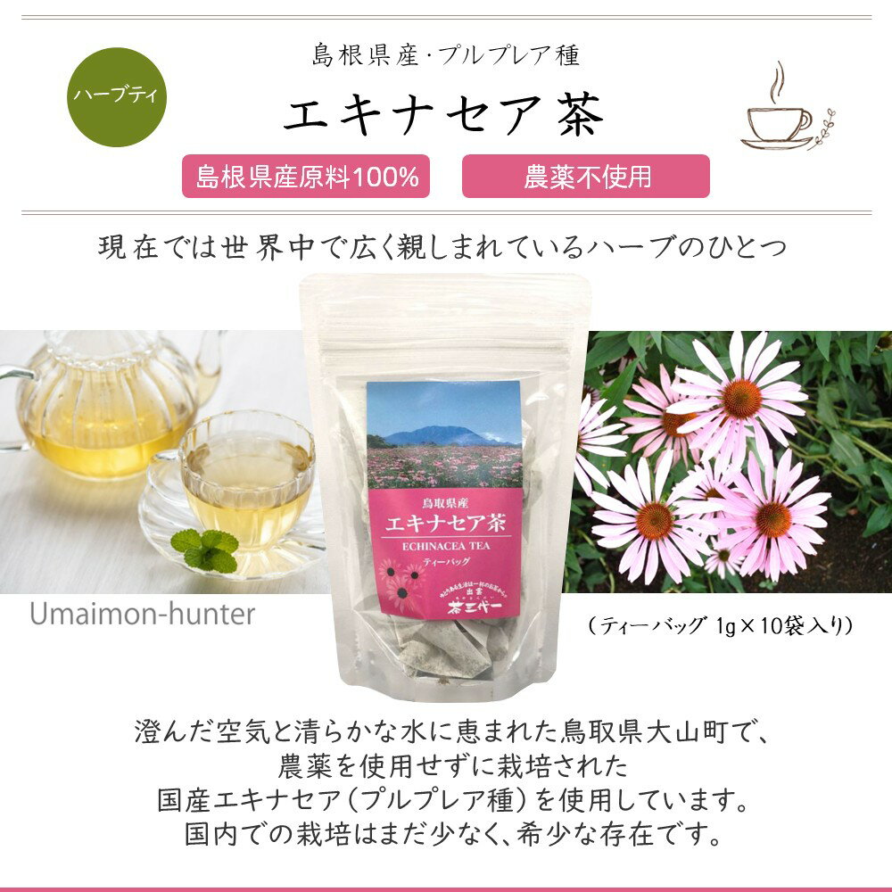 茶三代一 エキナセア茶 ティーバッグ 10g(1g×10袋)×6袋 2