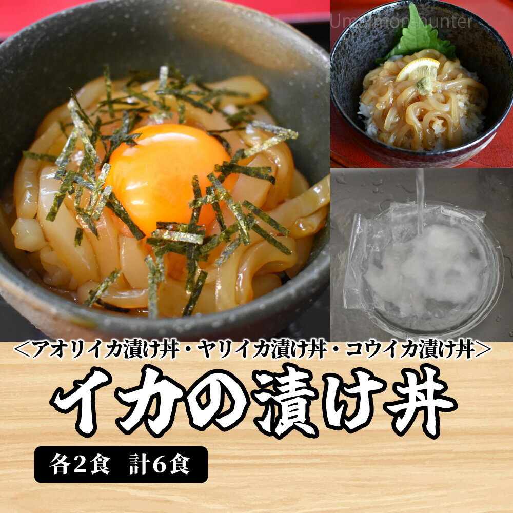 ギフト 福津いいざい 筑前玄海イカの漬け丼食べ比べセット 6人前 化粧箱入り