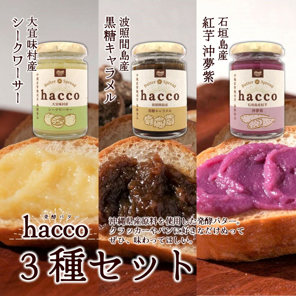 恵 megumi ビフィズス菌SP株ヨーグルト 12個 【3980円対象】 【冷蔵同梱】 腸内環境 ダイエット 雪印メグミルク