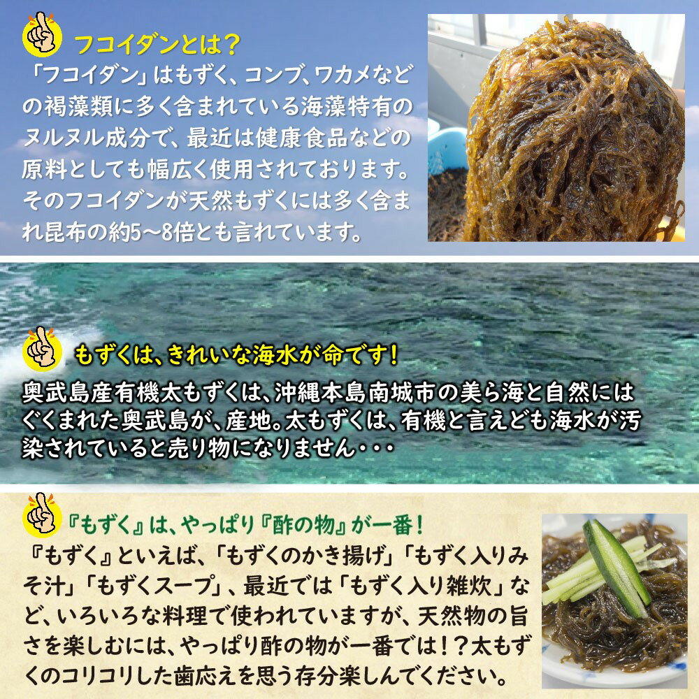 [河村食材] 島根県 宍道湖産 しじみ 大和しじみセット 100gx6 /島根県 宍道湖産 しじみ お味噌汁 パスタ 贈答用 個包装