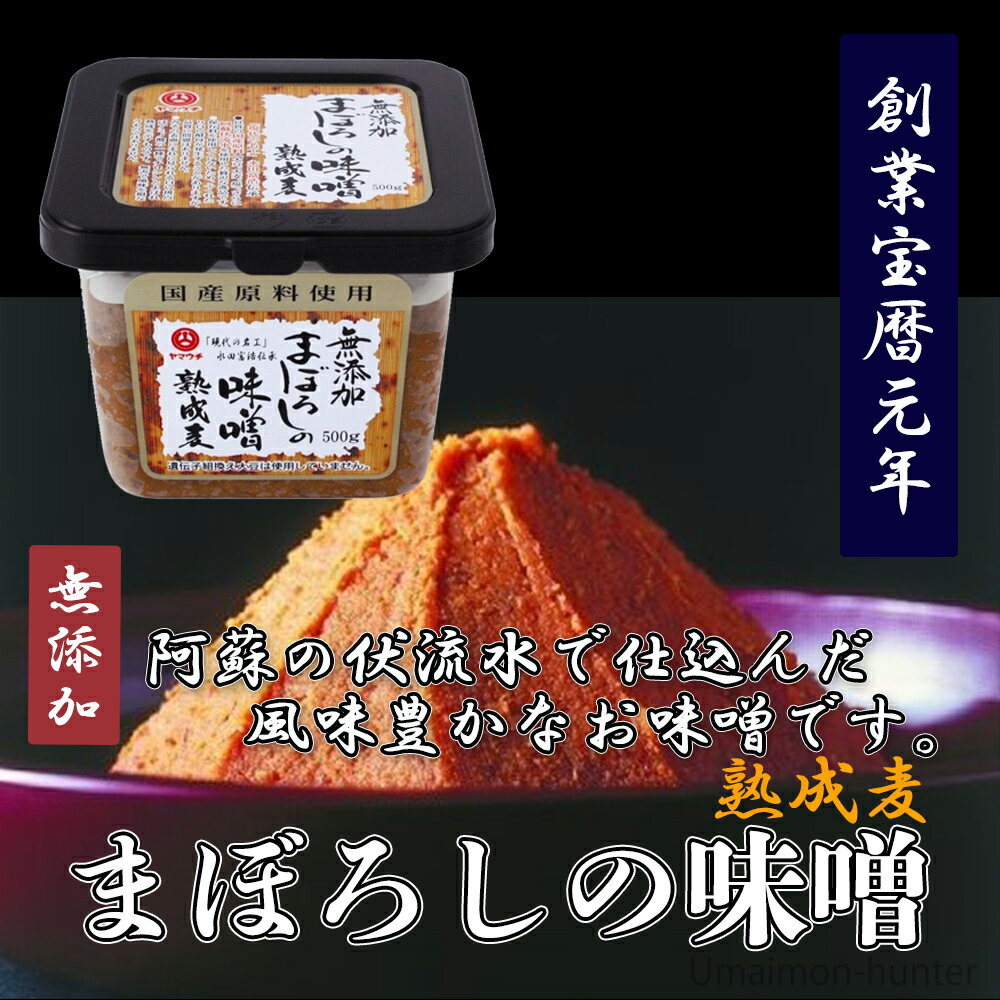 梅屋 山内本店 まぼろしの味噌 熟成麦 500g×2個 熊本県 2