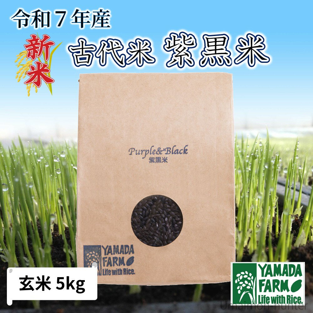 山田ふぁーむ 令和7年産 紫黒米 古代米 5kg 青森県 減化学肥料 減農薬