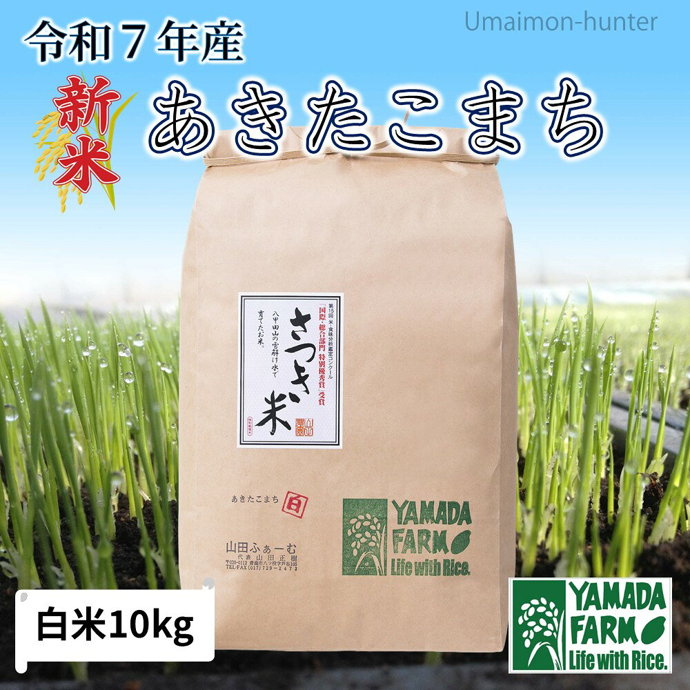 サンプル画像2