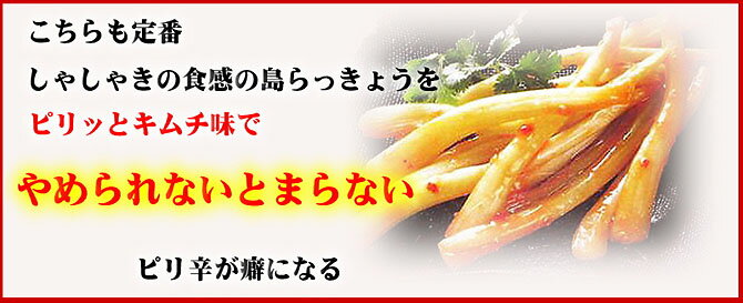 沖縄県産 島らっきょうキムチ 50g×6袋 でいごフーズ 沖縄県産 おすすめ イチオシ おつまみ