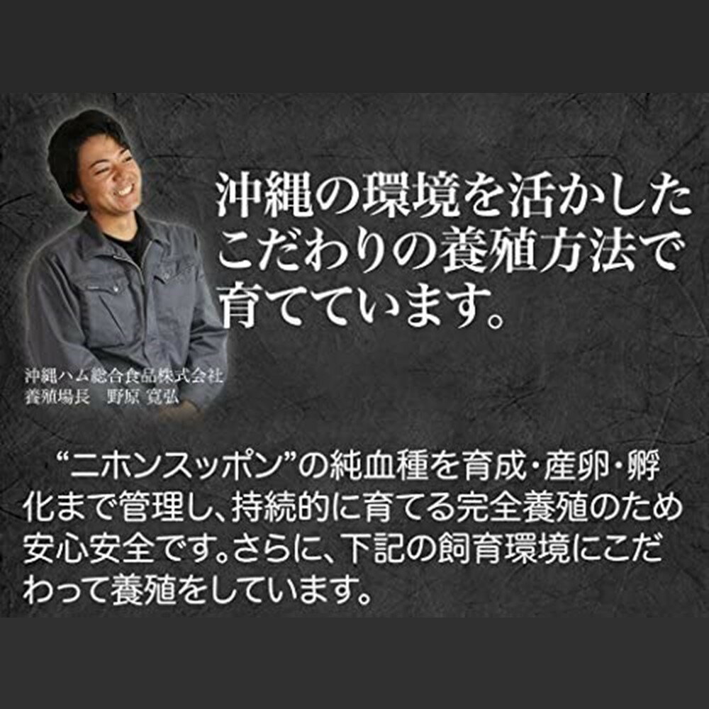 【ギフト】オキハム すっぽん軟骨ソーキ 4点セット D-29 沖縄土産 沖縄 土産 人気 贈り物 琉球