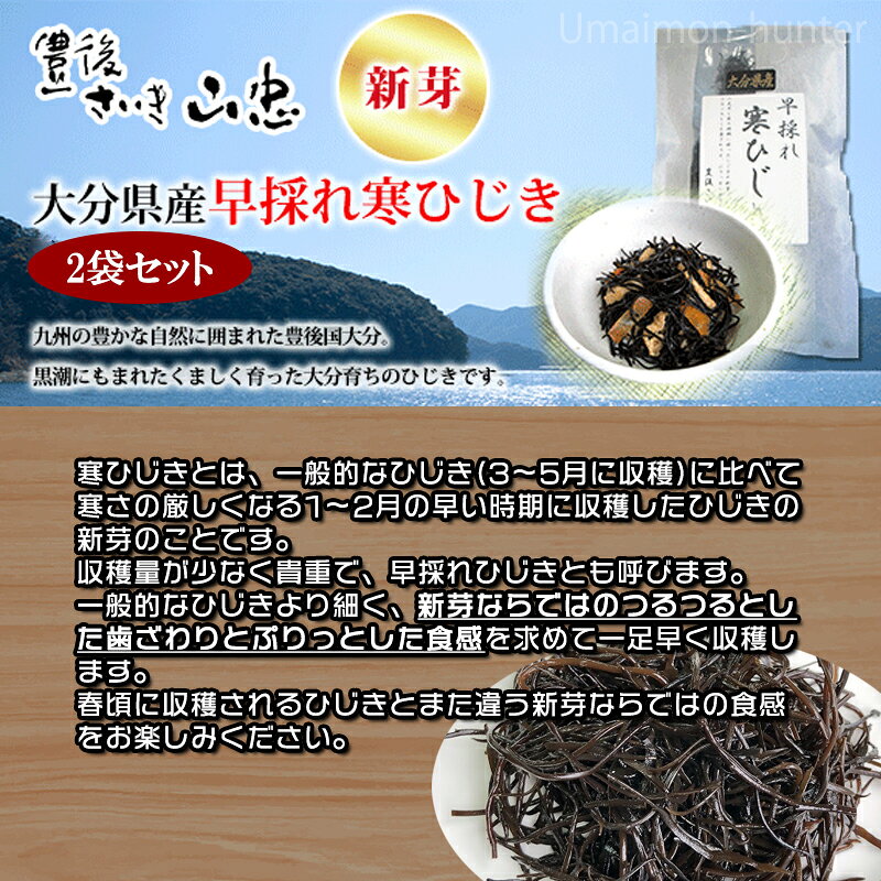 山忠 大分県産 早採れ寒ひじき 20g 2袋セット 大分 乾燥ひじき