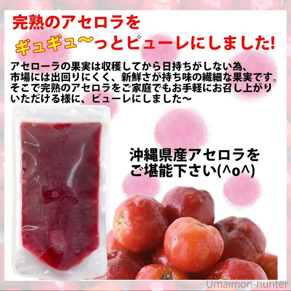 ガンターズ ワイルドフラワー ハニー - 1 ポンド瓶 Gunter's Honey Gunter's Wildflower Honey - 1 Pound Jar