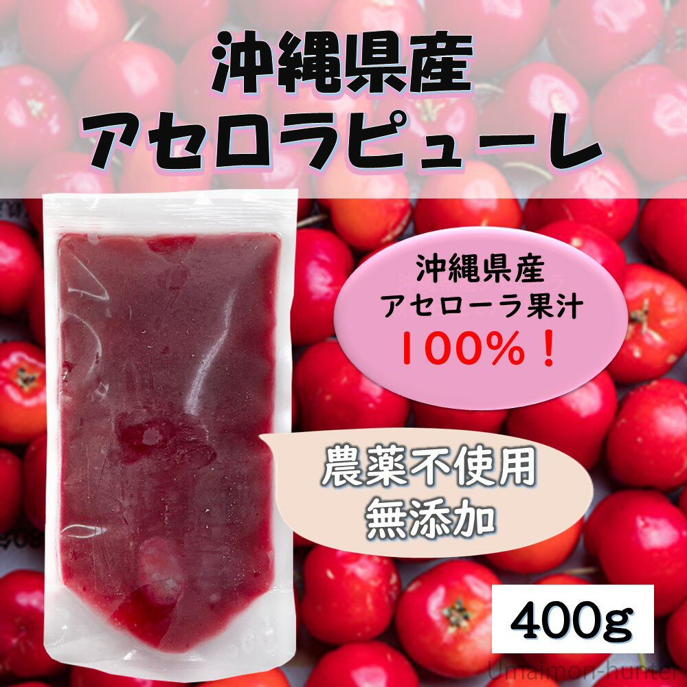 アセローラピューレ 400g×1P 無農薬栽培 アセロラ 沖縄 土産 南国フルーツ 定番 人気 ビタミンC