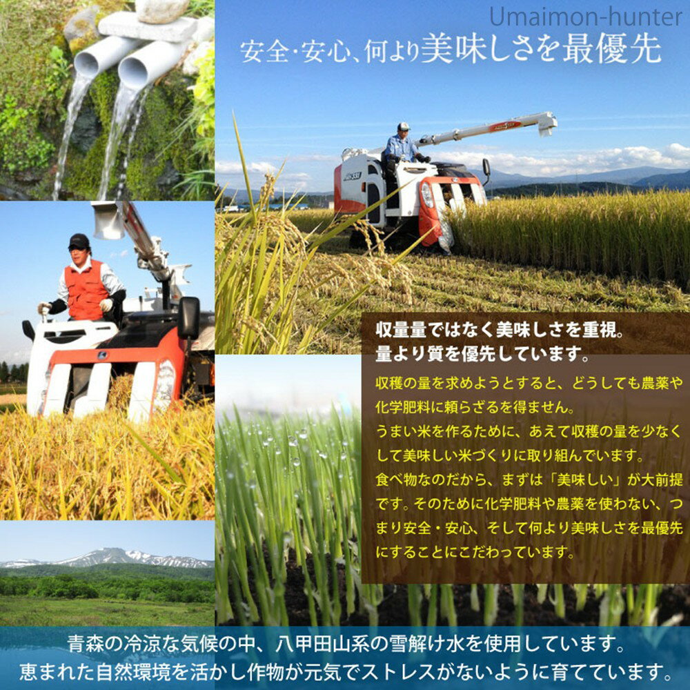 山田ふぁーむ 令和7年産 さつき米青天の霹靂 白米 5kg×1袋 青森県 減化学肥料 減農薬