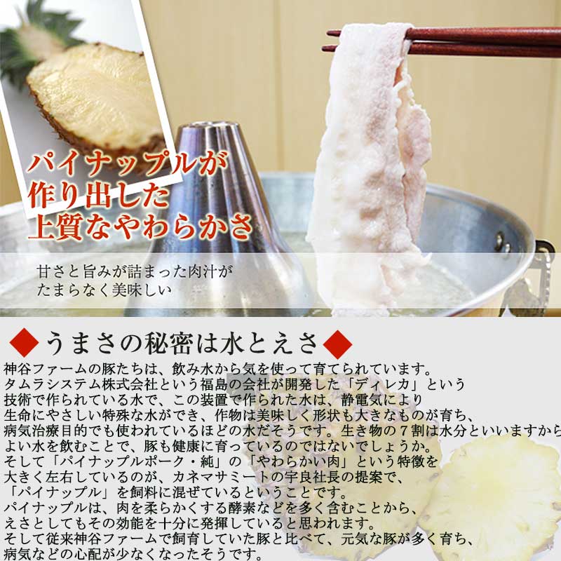 カネマサミート パイナップルポーク 純 しゃぶしゃぶ食べ比べセット (ロース・バラ・モモ) 各600g