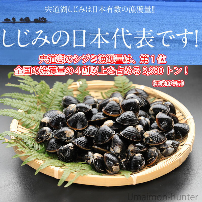 ギフト 化粧箱入り 平野缶詰 宍道湖産 レトルトしじみ(特大粒) 100g×6P 島根県 中国地方 新鮮 シジミ 魚介類 専門店 カルシウム オルニチン豊富 3