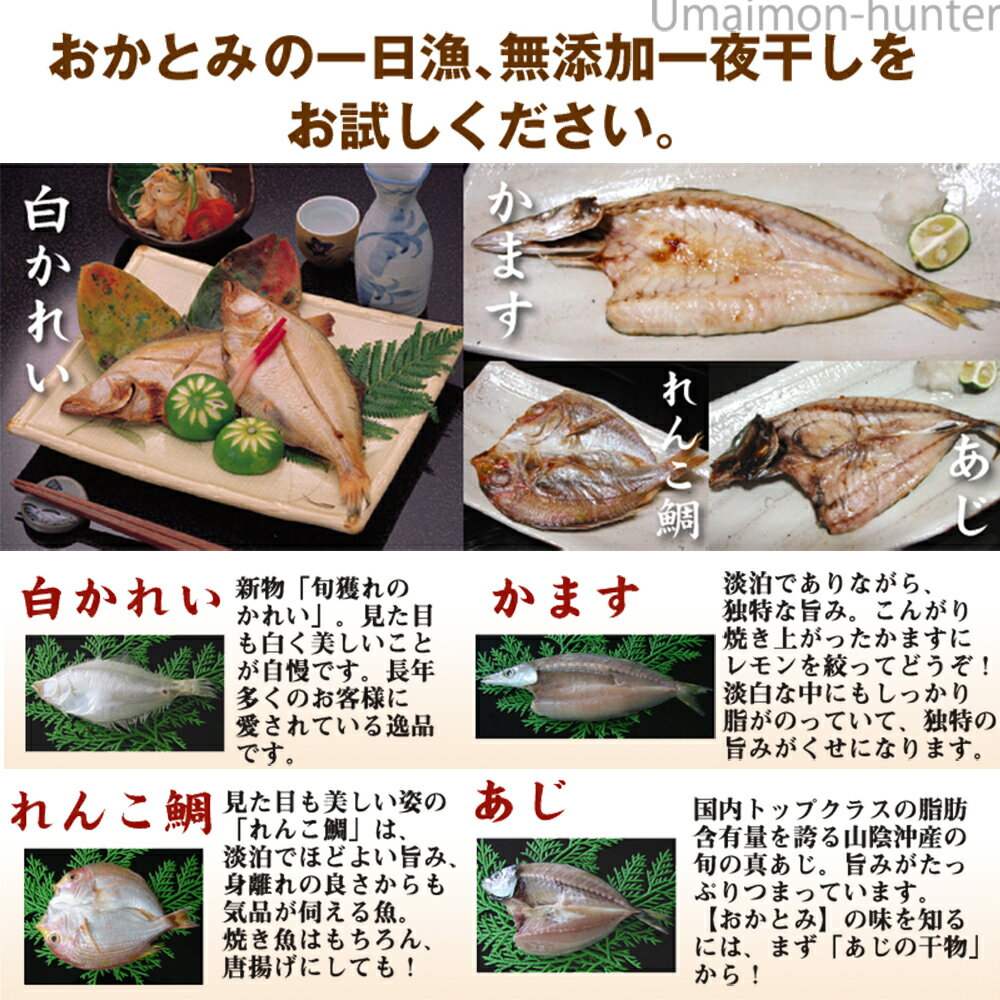 ギフト 化粧箱入り 岡富商店 三人前地魚ひものセット エテかれい あじ かます れんこ鯛 島根沖産魚 お取り寄せ食材 ご自宅用に 贈り物に