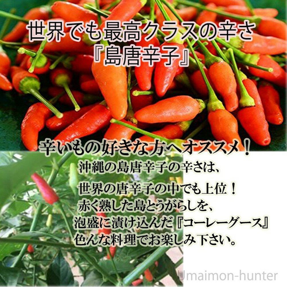 大城海産物加工所 手造り コーレーグスにんにく入り 150g×5本