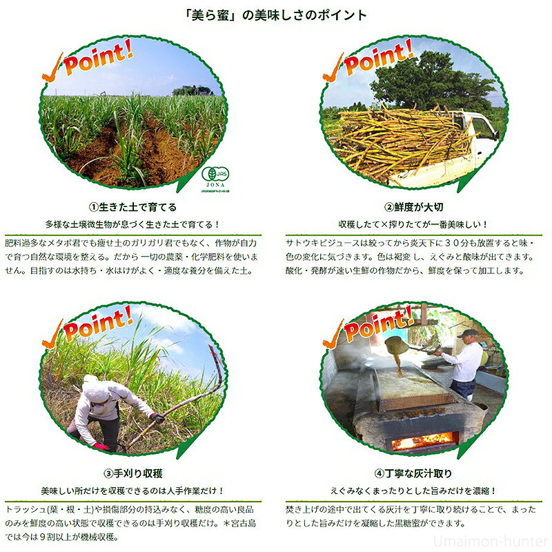 オルタナティブファーム宮古 美ら蜜 バタートースト 170g×3本 沖縄 宮古島産サトウキビ 黒糖蜜 人気 土産 黒糖みつ