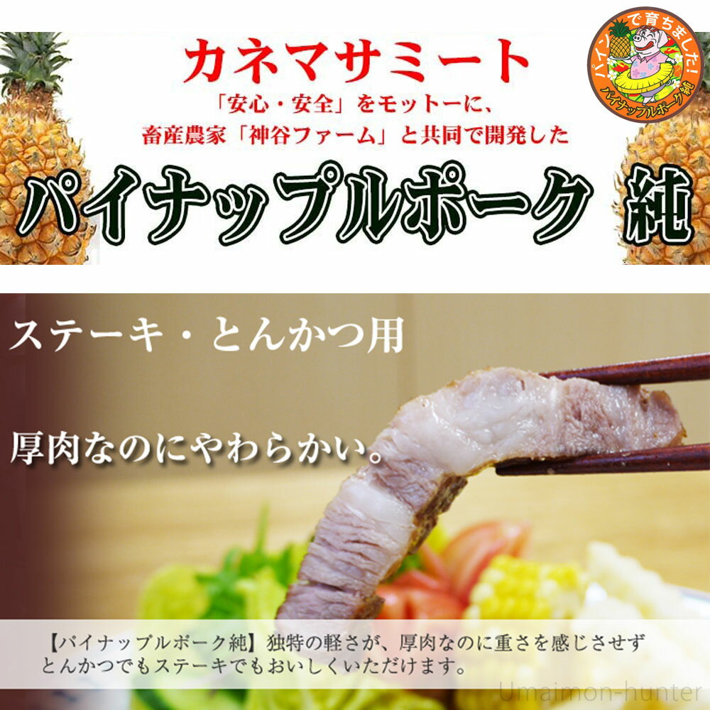 カネマサミート ギフト パイナップルポーク アグー トンカツ用 ロース 約120g×10枚 沖縄県産品