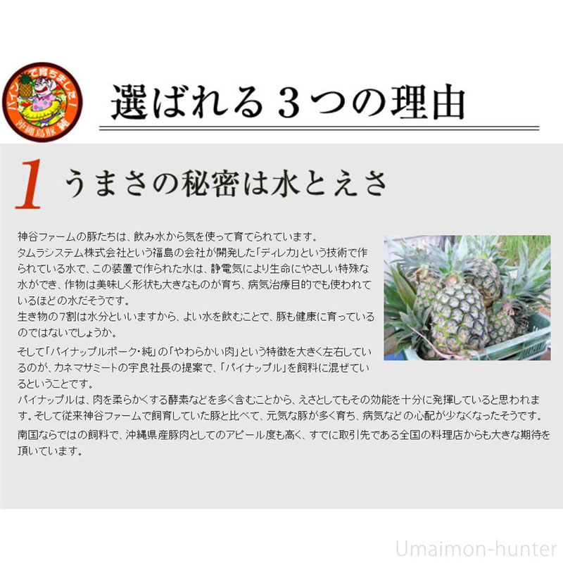 カネマサミート ギフト パイナップルポーク アグー トンカツ用 ロース 約120g×10枚 沖縄県産品