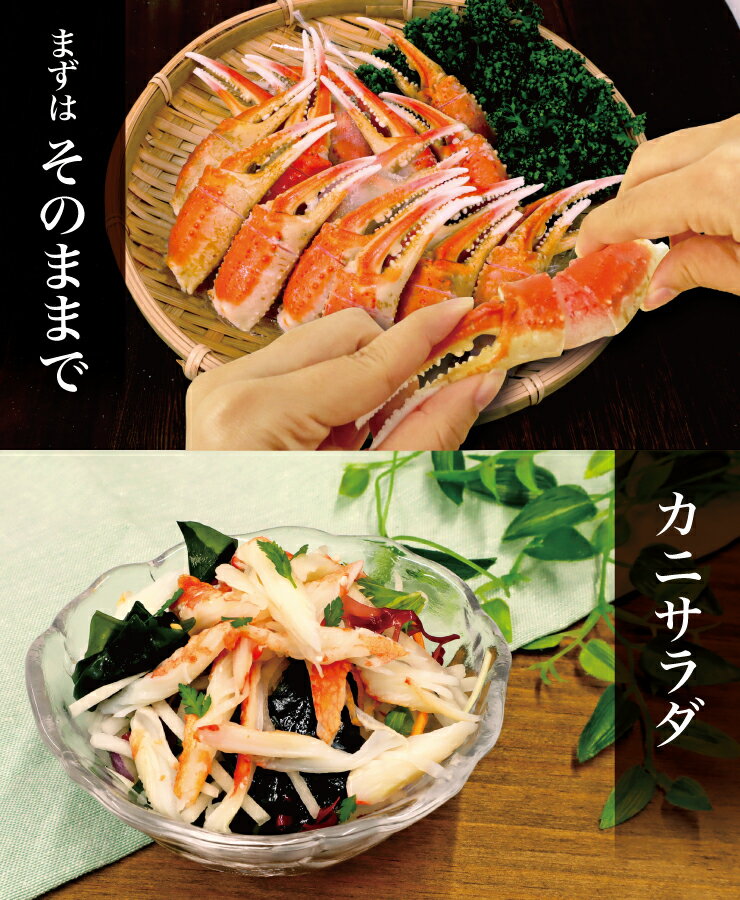 送料無料ボイル無選別ずわいがに殻付爪(リングカット入)500g※便利な個別冷凍ズワイずわいカニ蟹