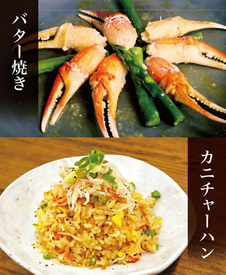 送料無料ボイル無選別ずわいがに殻付爪(リングカット入)500g※便利な個別冷凍ズワイずわいカニ蟹