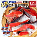 送料無料 天然 紅鮭切り落とし 1.2kg 300g×4パック 紅...