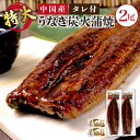 送料無料 中国産 超特大 うなぎ 炭火蒲焼 2尾(約450g×2) 高品質 うなぎ 鰻 ウナギ