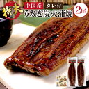 送料無料 中国産 超特大 うなぎ 炭火蒲焼 2尾(約450g×2) 高品質 うなぎ 鰻 ウナギ