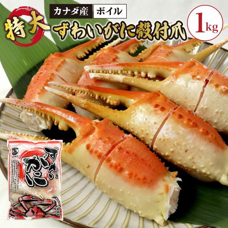 送料無料 ボイル 特大ずわいがに殻付爪1kg(11~19粒) リングカット入 ※便利な個別冷凍 ズワイ ずわい カニ 蟹 贅沢 豪華 フライ 酢の物 焼き 本ズワイ BBQ バーベキュー 年末 贈り物 カナダ 爪 かに しゃぶしゃぶ 鍋