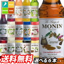 【送料無料】モナンシロップ 17種類から選べる選り取り250ml×6本セット