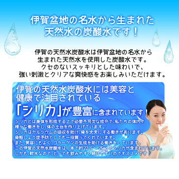 【送料無料】サンガリア　伊賀の天然水炭酸水500ml　1ケース単位で選べる合計48本セット【2ケース】【選り取り】