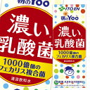 伊藤園 朝のYoo 濃い乳酸菌 200ml ×1ケース（全24本） 送料無料