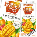 カゴメ 野菜生活100 マンゴーサラダ（ホテルレストラン用）1L 紙パック ×1ケース（全6本） 送料無料 【yasaij】