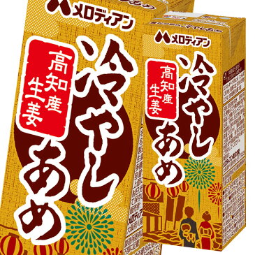 【送料無料】メロディアン　高知の生姜でつくった冷やしあめ200ml紙パック×2ケース（全48本）