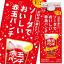 サントリー ソーダでおいしい赤玉パンチ500ml 紙パック ×2ケース（全24本） 送料無料