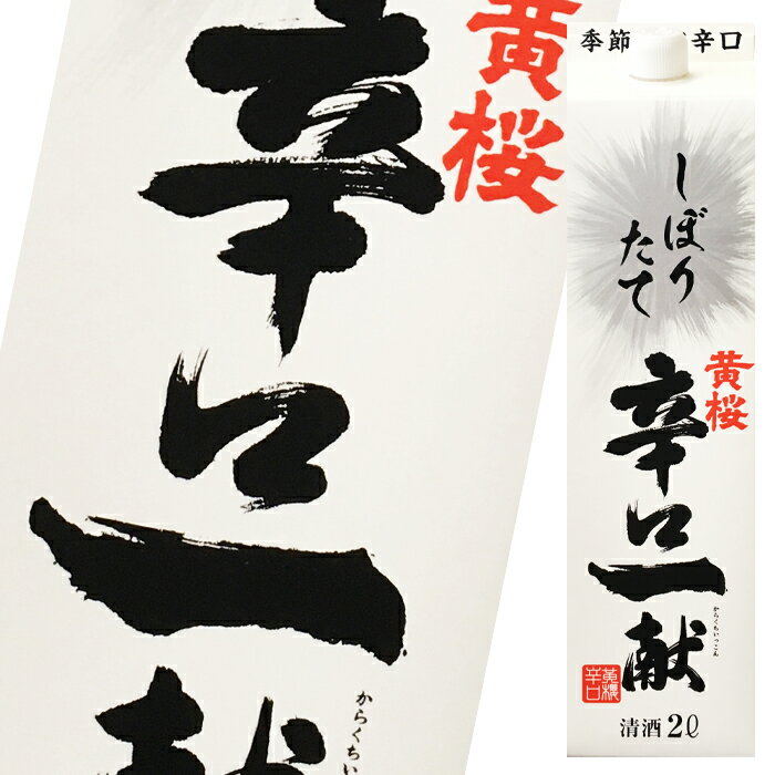 黄桜 辛口一献 しぼりたて2Lパック×2ケース（全12本） 送料無料