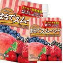 スムージー食感が楽しめ、ビタミンA、C、E、食物繊維、鉄、カルシウムをまとめて栄養補給できるゼリー。●名称：ゼリー飲料●内容量：150gパウチ×1ケース（全24本）●原材料名：糖類（果糖ぶどう糖液糖（国内製造）、果糖、砂糖）、果汁（ストロベ...