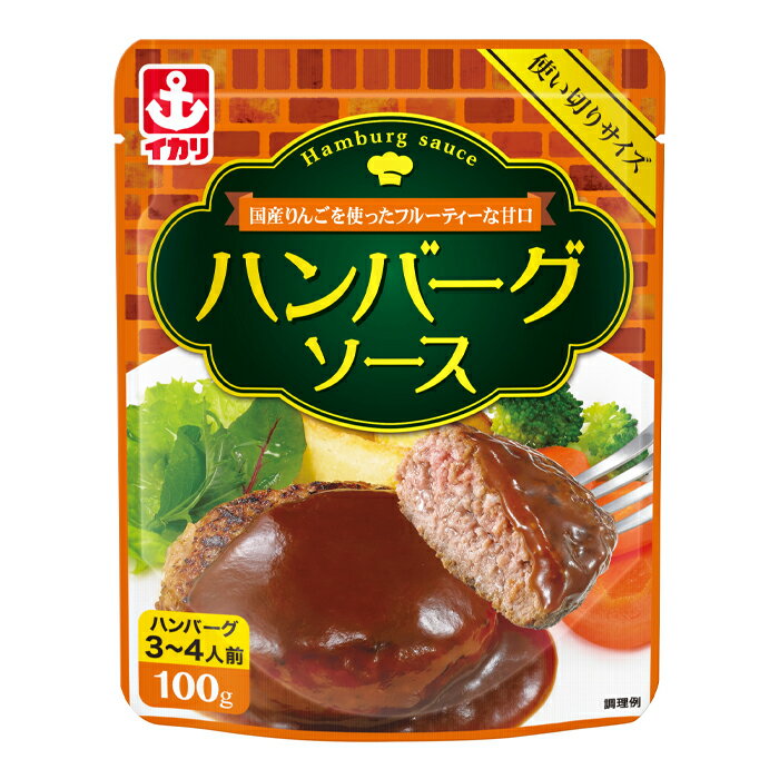 イカリソース ハンバーグソース100gパウチ×1ケース（全40本） 送料無料