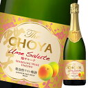 チョーヤ 梅酒 The CHOYA 梅サルーテ750ml瓶×2ケース(全12本) 送料無料