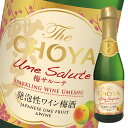 チョーヤ 梅酒 The CHOYA 梅サルーテ 200ml 瓶×2ケース(全24本) 送料無料
