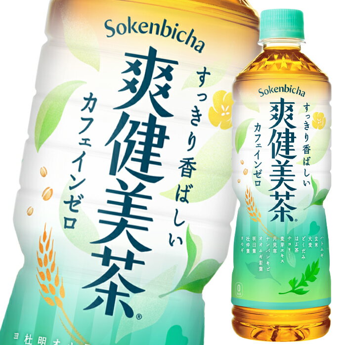 コカ・コーラ爽健美茶600ml×1ケース（全24本） 送料無料